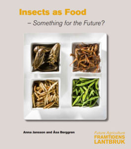 insects as food