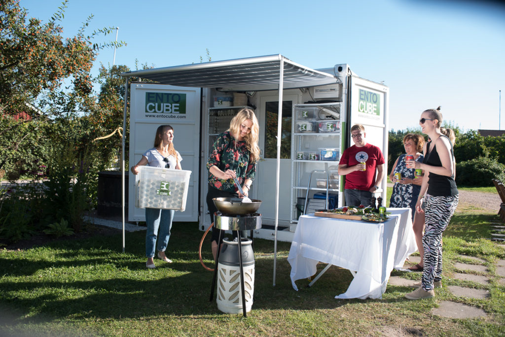 Insektsfest med EntoCube (foto från EntoCube)