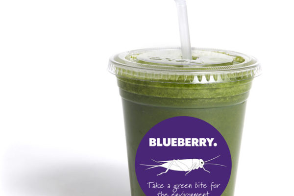 Insektssmoothien Greenplanet från Blueberry.
