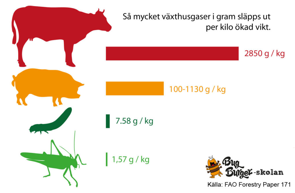 Klimateffekten