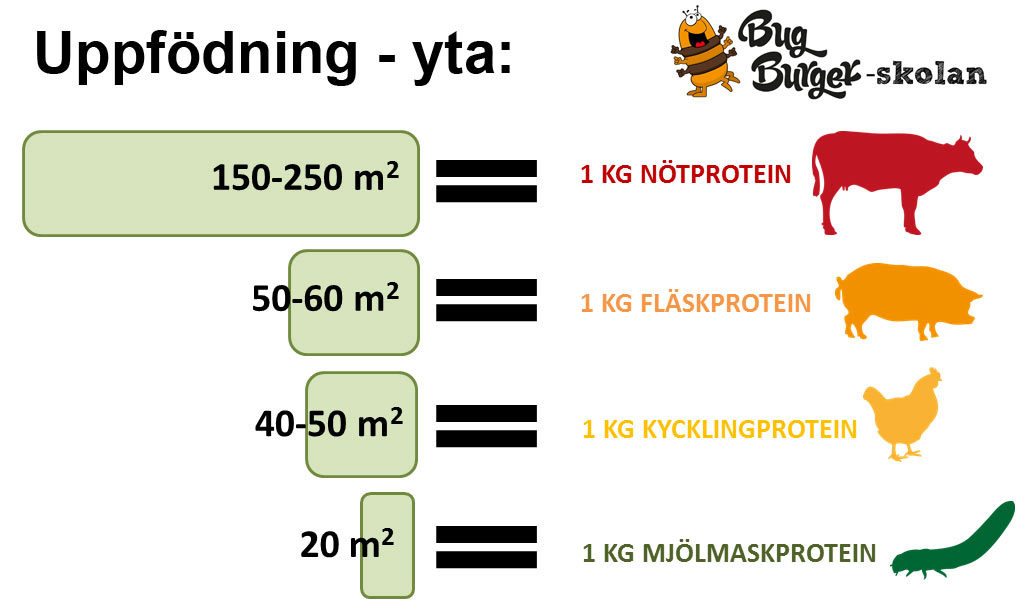 Uppfödning yta