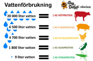 Vattenförbrukning
