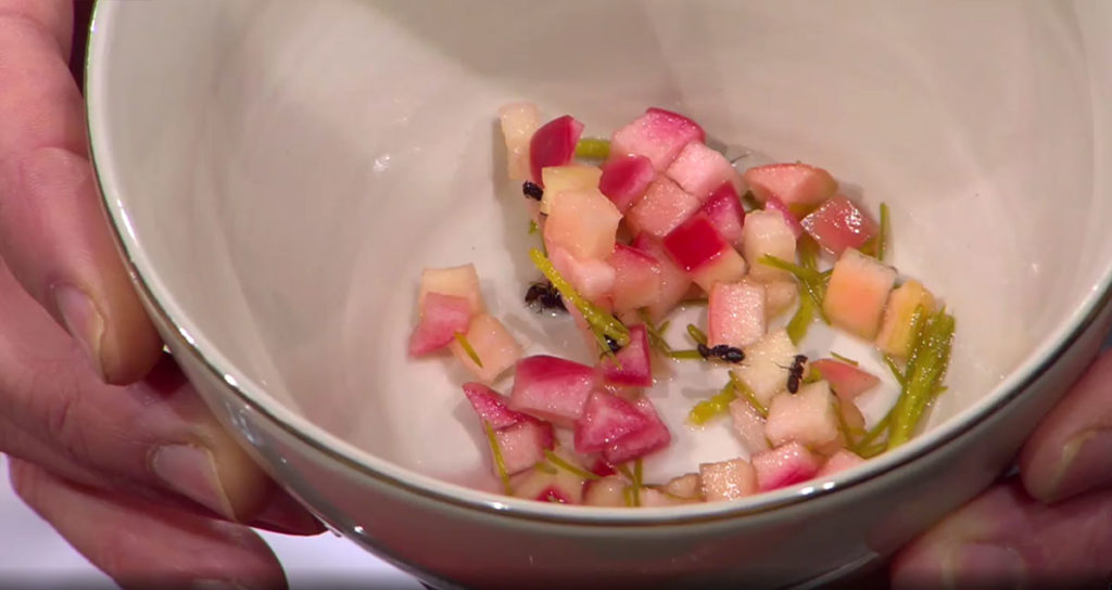 Svalkande äpple-, gran- och myrdessert (skärmdump från Go'Kväll SVT)
