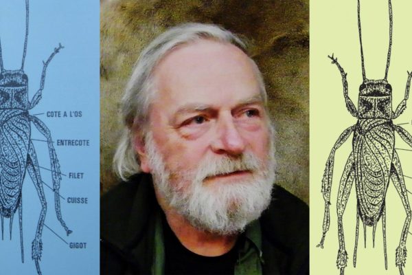 Peter de Batist made the illustration in 2001 as a seasons greatings card. You might recognize it from The Insect Cookbook by Arnold van Huis, Henk van Gurp and Marcel Dicke.
