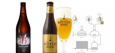 Bug beer