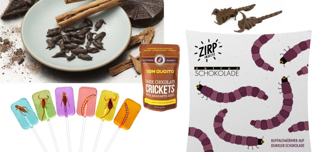 Candy and chocolate covered insects