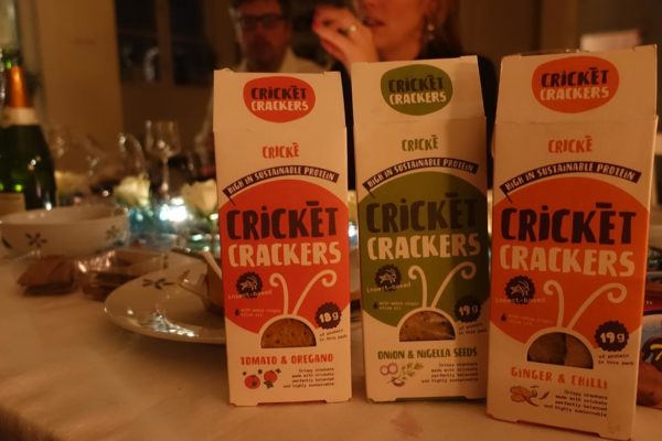 Cricke crakers new year