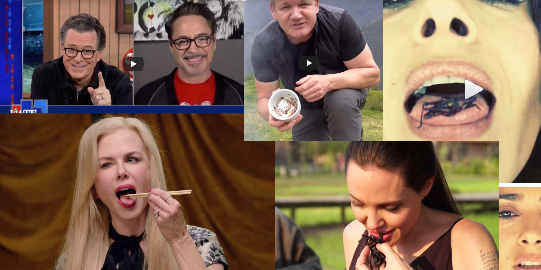 Celebrity Eating Bugs 60 Photos - Moonagedaydream.film